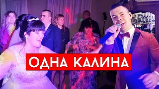 София Ротару - Одна калина (cover Виталий Лобач)