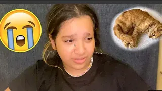 قطة شفا ماتت دفناه مؤثر ! my cat died