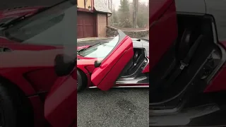 Koenigsegg door