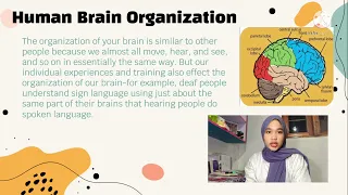 NEUROLINGUISTICS : Language and Brain