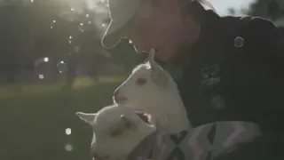 | 9GAG | Baby Goat Pyjama Party with bubbles