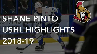 Shane Pinto 2018-19 USHL Highlights