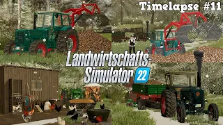 RÜBENMIETE leeren mit HANOMOG ROBUST & LANZ! 💪🚜💨 Ein neuer HÜHNERSTALL? 🤔🐔 | [LS22] - Timelapse #11