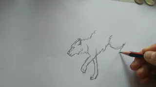 How to drawing a running  wolf