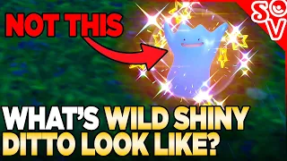 What Does Wild Shiny Ditto Look Like in Pokemon scarlet and Violet?