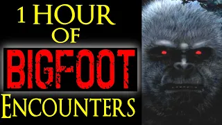 Bigfoot Ultra Marathon #10 - Over one Hour of Bigfoot Stories - Squatch-A-Thon