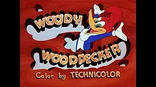 Вуди Вудпекер/Дятел Вуди/Woody Woodpecker 27 серия