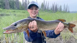 MASSIVE Pike {Catch & Cook} in the MIDNIGHT Sun