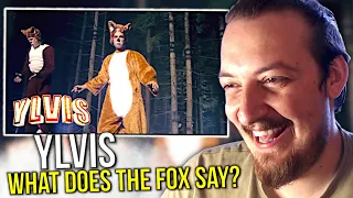 Ylvis - The Fox (What Does The Fox Say?) | REACTION