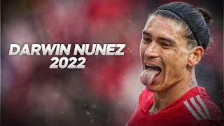 Darwin Núñez - Full Season Show - 2022ᴴᴰ