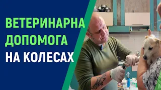 Ветлікар з Херсона Олександр Шевченко рятує та лікує кинутих тварин по всій деокупованій Херсонщині