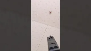 Airsoft G18C vs Huntsman Spider