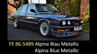 40. FACTORY COLORS BMW E28 1981 - 1987 M5 ALPINE