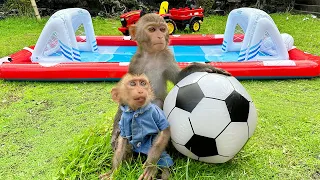 Baby Monkey Bim Bim Plays Float Soccer And Eats watermelon Ice Cream With Puppy In Swimming Pool