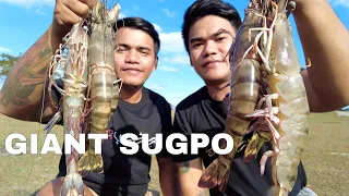 OUTDOOR COOKING | GIANT SUGPO