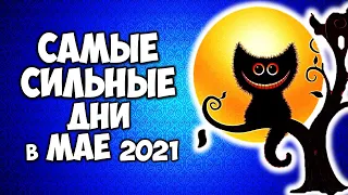 5 Самых Сильных дней в мае 2021 года