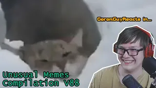 (POOR KITTY!) Unusual Memes Compilations V88 - GoronGuyReacts