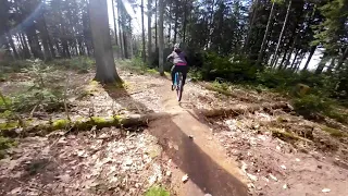 Steinbrechertrails - Weisser Stein, Kniebreche, Kronenburg Trail (Dossenheim DH)