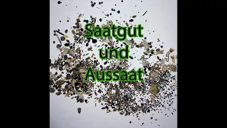 Aussaat und Saatgut - Gartengeflüster am Walnussbaum