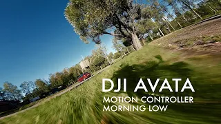 DJI Avata – Morning Low & Speedy with Motion Controller