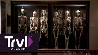 Philadelphia's Mutter Museum | Travel Channel