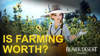 BDO Per Hour Money | Farming