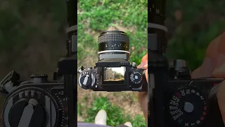 What the best 35mm camera sounds like.