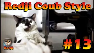 Redji COUB Style #13 ⁄⁄Лучшее в Coub ПРИКОЛЫ Best Coub