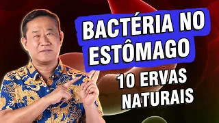 H. PYLORI E GASTRITE: COMO REDUZIR DE FORMA NATURAL | Peter Liu