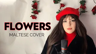 Flowers - Maltese Cover