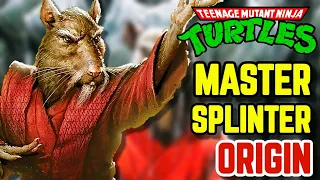 Master Splinter Origins - This Mutated Rat Is World's Best Ninjutsu Master & The Father Of TMNT!