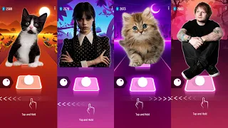Cute Cat vs Wednesday Lady Gaga Bloody Mary Ed Sheeran Shape of You vs Cute Cat - Tiles Hop EDM Rush