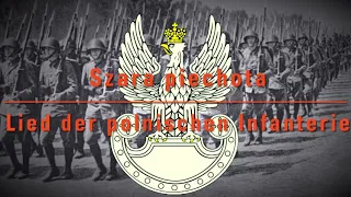 Szara piechota [Lied der grauen Infanterie]