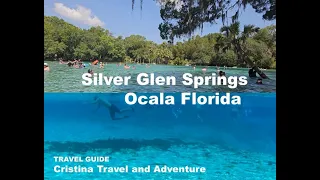 Silver Glen Springs in Ocala FL