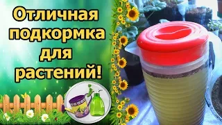 ЧУДЕСНОЕ НАТУРАЛЬНОЕ УДОБРЕНИЕ ДЛЯ РАССАДЫ, ВИНОГРАДА, КОМНАТНЫХ РАСТЕНИЙ! ЗОЛА ДЛЯ САДА И ОГОРОДА!