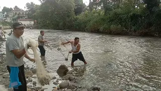 Fishing Net Video - Amazing Traditional Net Fishing in River (Part 39 )