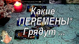 ЧТО НОВОГО ВПЕРЕДИ...🌺 КАКИЕ ПЕРЕМЕНЫ ГРЯДУТ...  Гадание таро