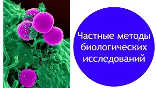 Частные методы биологических исследований