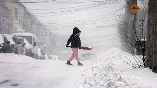 Newfoundland buried under 75 cm of snow | Winter wallop in N.L.