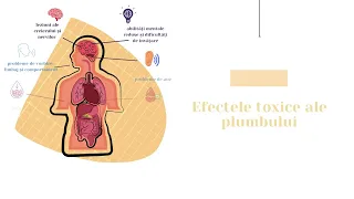 Efectele toxice ale plumbuluimMp4