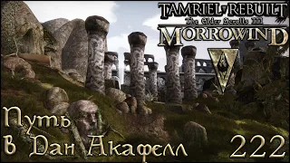 Morrowind Tamriel Rebuilt - Дорога в Дан Акафелл, #160 (222)