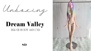 Unboxing Dream Valley  B56 01 (60cm) body in Normal Pink skin