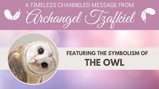 🦉🌿🌞💛A timeless channeled message from Archangel Tzafkiel featuring the symbolism of the owl