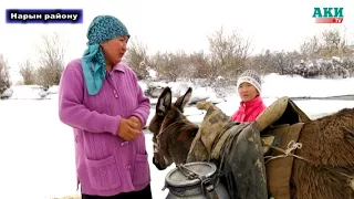 Нарын районунун Кара-Чий айылында 56 жылдан бери мал ичкен сууну пайдаланышат