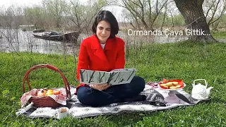 Ormanda Çay Partisi