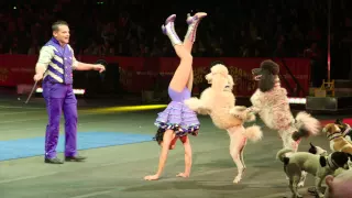 Ringling Bros. 2x2 Mixed Dog Show