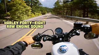 Harley Davidson Forty-Eight 48 Pure Engine Sound [TBR 2 into 1 Exhaust] Down From Mount Lemmon