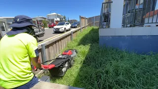 OMG He's using a Battery Push Mower on this OVERGROWN Clean Up!