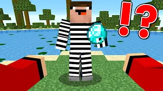 MINECRAFT SECURITY PARKOUR vs THIEF