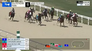 Gulfstream Park Carrera 6 - 23 de Marzo 2023